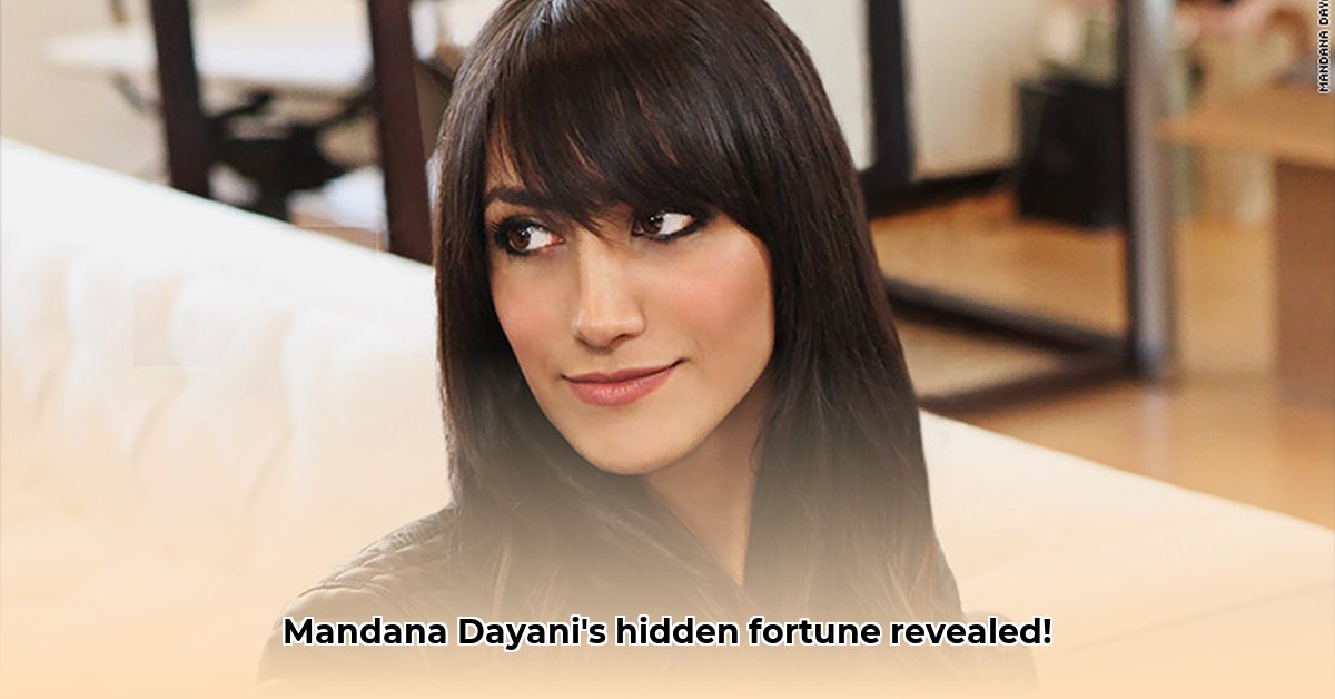 mandana-dayani-net-worth